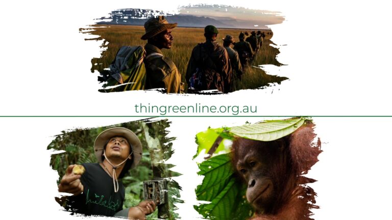 thin green line thumbnail