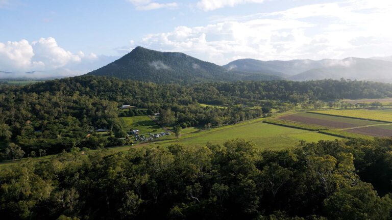 drone mackay regional green