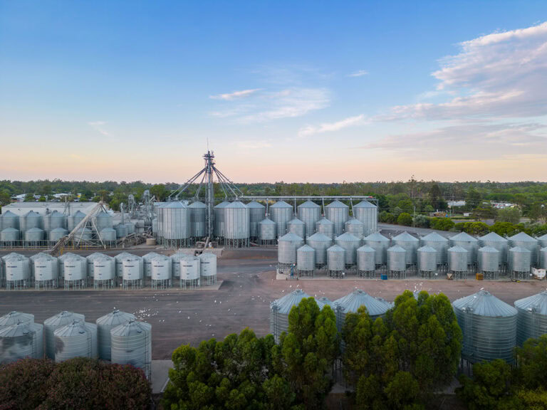 satake goondiwindi woodsgroup 9